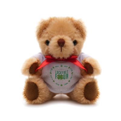 Image of Small Jointed Teddy